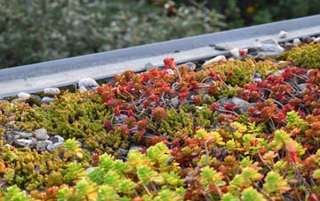 the cost of Bratoft green roof installation